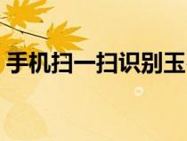 手机扫一扫识别玉石（怎样知道玉认自己了）