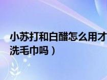 小苏打和白醋怎么用才能把毛巾洗干净（你试过白醋小苏打洗毛巾吗）