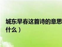 城东早春这首诗的意思是什么（城东早春这诗的大概意思是什么）
