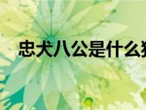 忠犬八公是什么狗?（忠犬八公是什么狗）