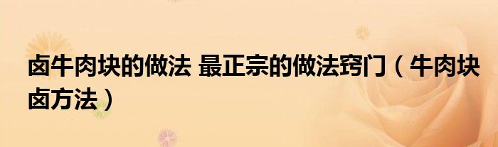 卤牛肉块的做法 最正宗的做法窍门（牛肉块卤方法）