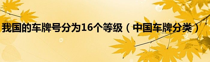 我国的车牌号分为16个等级（中国车牌分类）