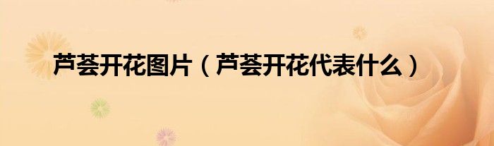 芦荟开花图片（芦荟开花代表什么）