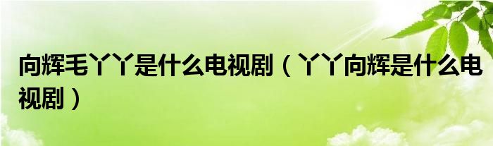 向辉毛丫丫是什么电视剧（丫丫向辉是什么电视剧）