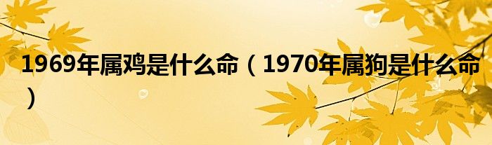 1969年属鸡是什么命（1970年属狗是什么命）