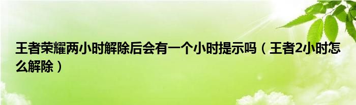 王者荣耀两小时解除后会有一个小时提示吗（王者2小时怎么解除）