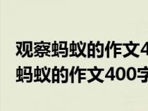 观察蚂蚁的作文400字四年级优秀作文（观察蚂蚁的作文400字）