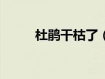 杜鹃干枯了（杜鹃干枯后的补救）