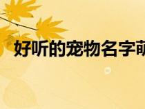 好听的宠物名字萌萌哒（好听的宠物名字）