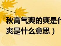 秋高气爽的爽是什么意思的图片（秋高气爽的爽是什么意思）