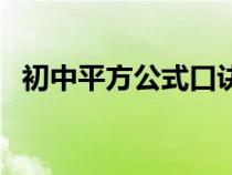 初中平方公式口诀（初中数学平方和公式）
