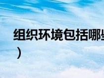 组织环境包括哪些因素?（组织环境包括哪些）
