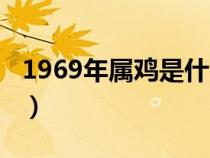 1969年属鸡是什么命（1970年属狗是什么命）