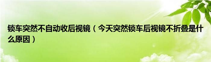 锁车突然不自动收后视镜（今天突然锁车后视镜不折叠是什么原因）