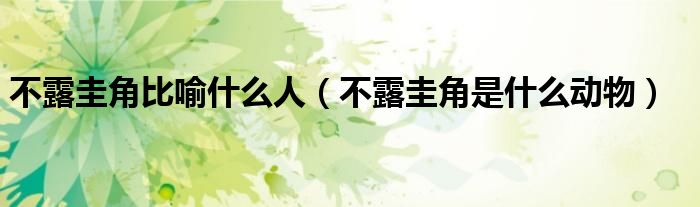 不露圭角比喻什么人（不露圭角是什么动物）