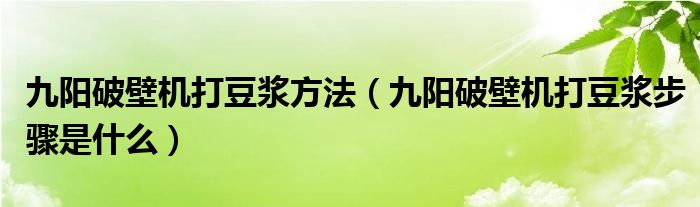 九阳破壁机打豆浆方法（九阳破壁机打豆浆步骤是什么）