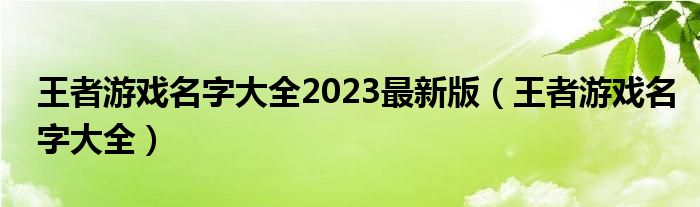 王者游戏名字大全2023最新版（王者游戏名字大全）