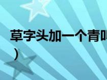 草字头加一个青叫什么（草字头加青是什么字）