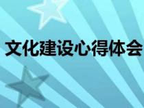 文化建设心得体会（文化建设的意义和作用）