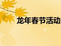 龙年春节活动主题（春节活动主题）