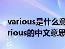 various是什么意思中文翻译怎么读(英语various的中文意思) various是什么意思中文翻译怎么读(英语various的中文意思)