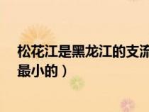 松花江是黑龙江的支流吗?（松花江是黑龙江最小的支流吗最小的）