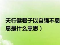 天行健君子以自强不息是什么意思呢（天行健君子以自强不息是什么意思）