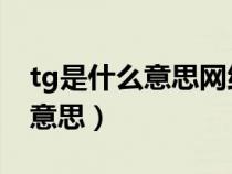 tg是什么意思网络用语（网上说的TG是什么意思）