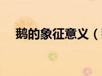 鹅的象征意义（鹅的寓意和象征是什么）