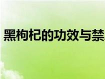 黑枸杞的功效与禁忌（什么人不能吃黑枸杞）