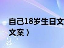 自己18岁生日文案短句干净（自己18岁生日文案）