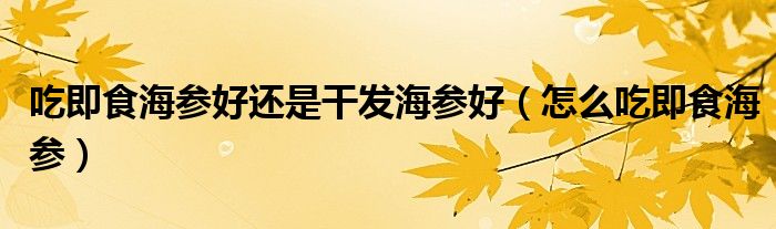 吃即食海参好还是干发海参好（怎么吃即食海参）