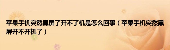 苹果手机突然黑屏了开不了机是怎么回事（苹果手机突然黑屏开不开机了）
