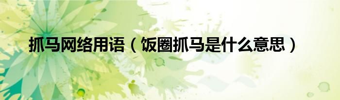 抓马网络用语（饭圈抓马是什么意思）