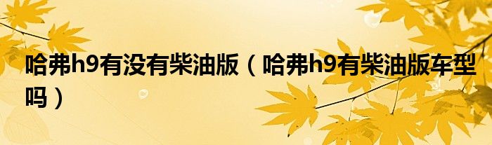 哈弗h9有没有柴油版（哈弗h9有柴油版车型吗）