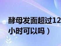 酵母发面超过12小时还能吃吗（酵母发面12小时可以吗）