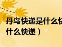 丹鸟快递是什么快递公司旗下的（丹鸟快递是什么快递）