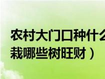 农村大门口种什么植物风水最好（农村大门口栽哪些树旺财）