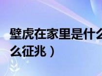 壁虎在家里是什么征兆五毒（壁虎在家里是什么征兆）