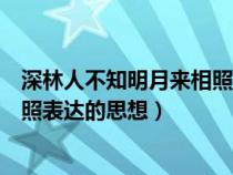 深林人不知明月来相照是直抒胸臆吗（深林人不知明月来相照表达的思想）