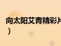 向太阳艾青精彩片段（艾青的向太阳好句摘抄）