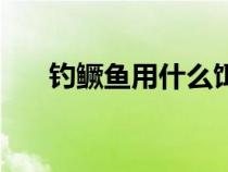 钓鳜鱼用什么饵好（钓鳜鱼用什么饵）