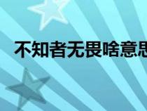 不知者无畏啥意思（不知者无畏什么意思）