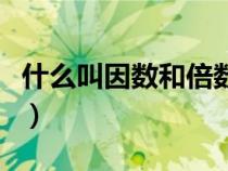 什么叫因数和倍数的区别（什么叫因数和倍数）