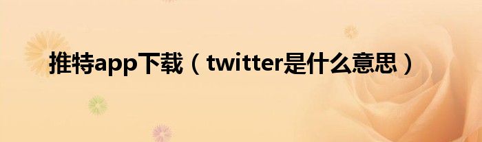 推特app下载（twitter是什么意思）