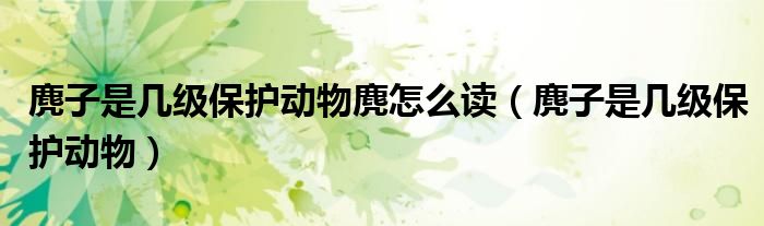 麂子是几级保护动物麂怎么读（麂子是几级保护动物）