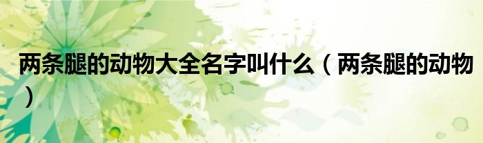 两条腿的动物大全名字叫什么（两条腿的动物）