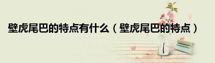 壁虎尾巴的特点有什么（壁虎尾巴的特点）