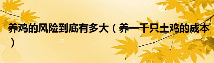 养鸡的风险到底有多大（养一千只土鸡的成本）