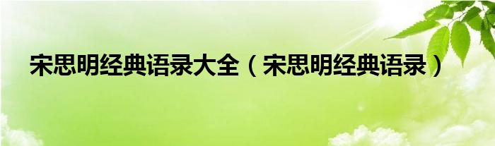 宋思明经典语录大全（宋思明经典语录）